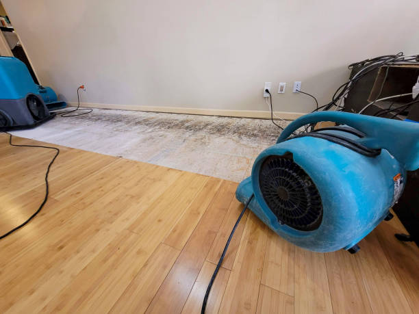 Reliable Burst Pipe Cleanup contractor in West Orange, TX by San Diego Water Damage Company